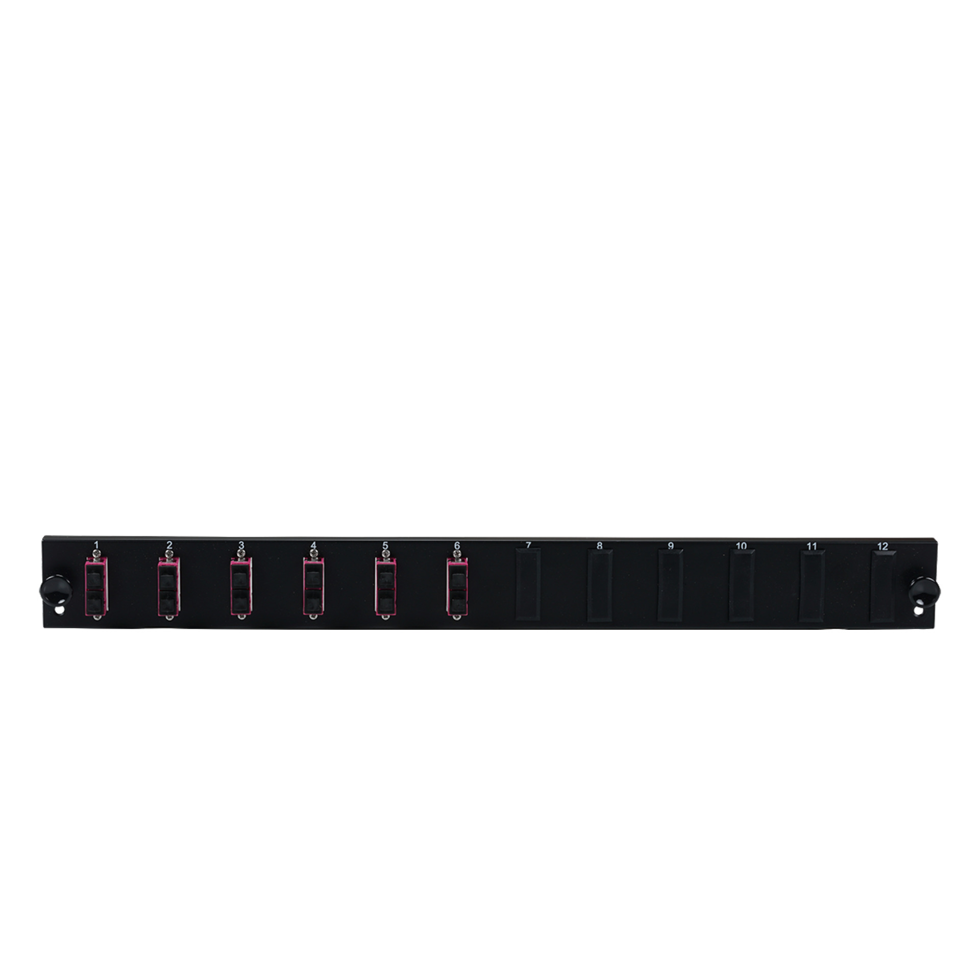 Bestückte 12 Port Frontblende mit 6 x SC Duplex Kupplung OM4 vertikal, grau