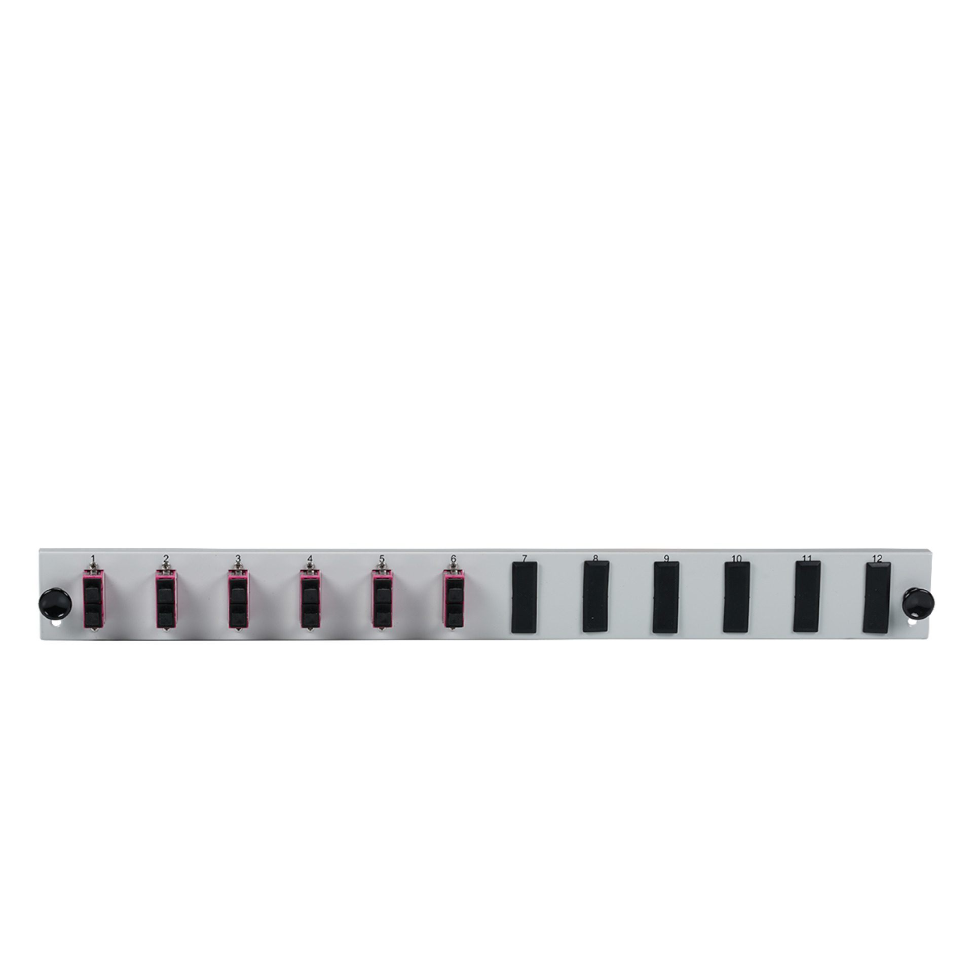 Bestückte 12 Port Frontblende mit 6 x SC Duplex Kupplung OM4 vertikal, schwarz